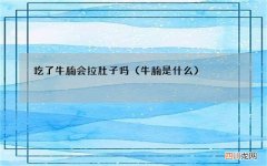 牛腩是什么 吃了牛腩会拉肚子吗