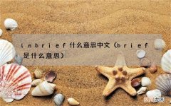 brief是什么意思 lnbrief什么意思中文