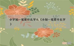 小加一笔是什么字 小字加一笔是什么字儿