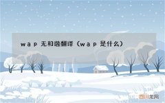 wap是什么 wap无和谐翻译