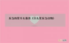 什么是反刍动物 反刍的是什么意思