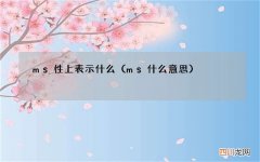 ms什么意思 ms性上表示什么