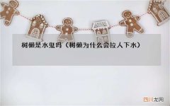 树懒为什么会拉人下水 树懒是水鬼吗