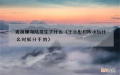 于小彤和陈小纭什么时候分手的 麦迪娜海陆发生了什么