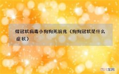 狗狗冠状是什么症状 得冠状病毒小狗狗死前兆