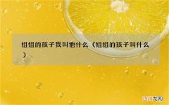 姐姐的孩子叫什么 姐姐的孩子我叫他什么