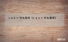test什么意思 test什么指令