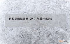 97年属什么的 狗和龙婚配好吗