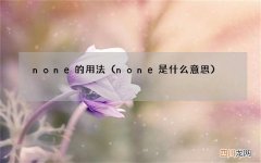 none是什么意思 none的用法