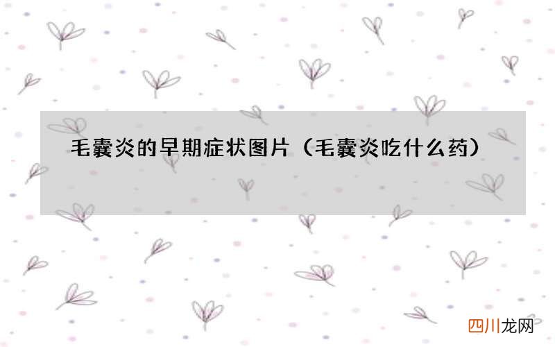毛囊炎吃什么药 毛囊炎的早期症状图片