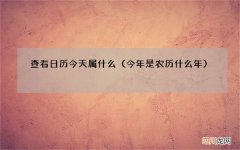 今年是农历什么年 查看日历今天属什么