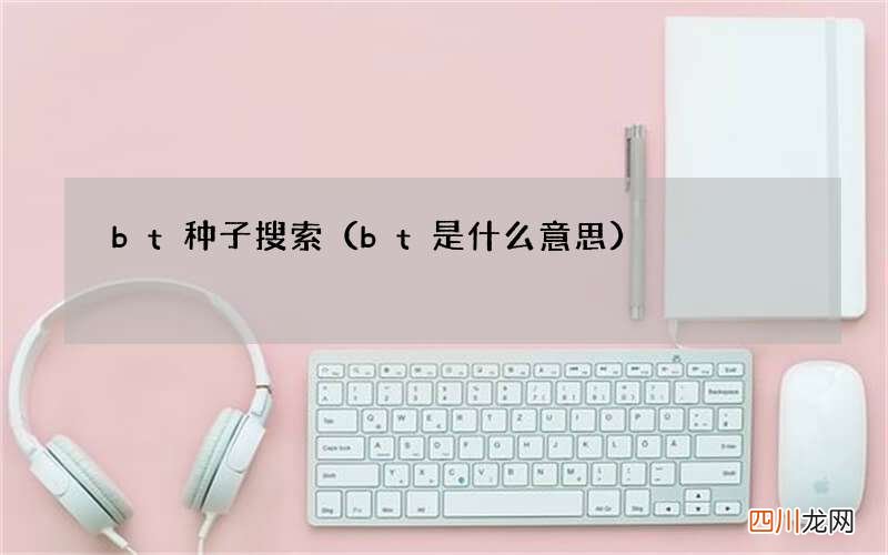 bt是什么意思 bt种子搜索