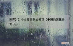 中国的国花是什么 世界22个主要国家的国花