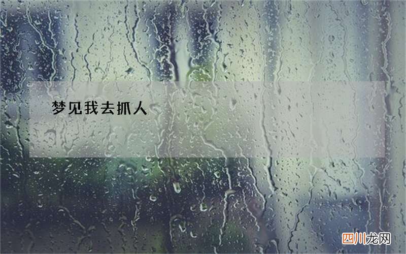 梦见我去抓人