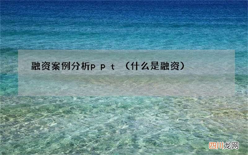 什么是融资 融资案例分析ppt