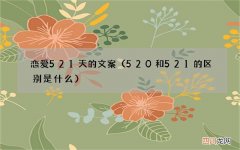 520和521的区别是什么 恋爱521天的文案