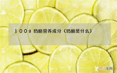奶酪是什么 100g奶酪营养成分