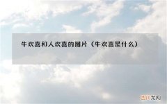 牛欢喜是什么 牛欢喜和人欢喜的图片