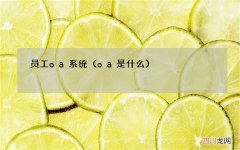 oa是什么 员工oa系统