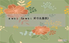 awsl是什么意思 awsl