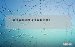 什么的翅膀 一双什么的翅膀