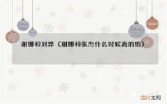 谢娜和张杰什么时候离的婚 谢娜和刘烨