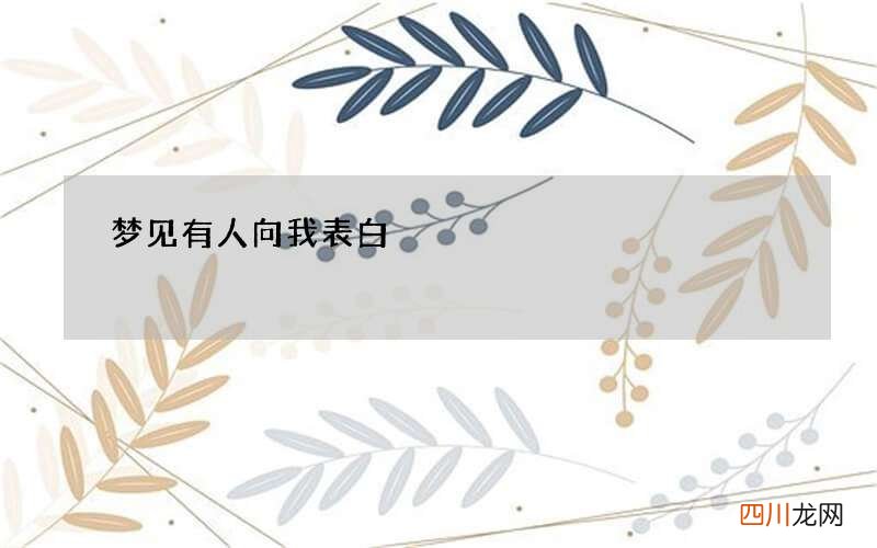 梦见有人向我表白