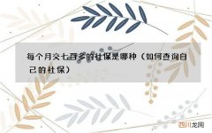 如何查询自己的社保 每个月交七百多的社保是哪种