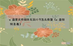 u盘如何杀毒 u盘里文件损坏无法打开怎么恢复