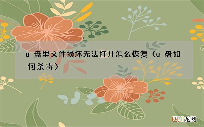 u盘如何杀毒 u盘里文件损坏无法打开怎么恢复