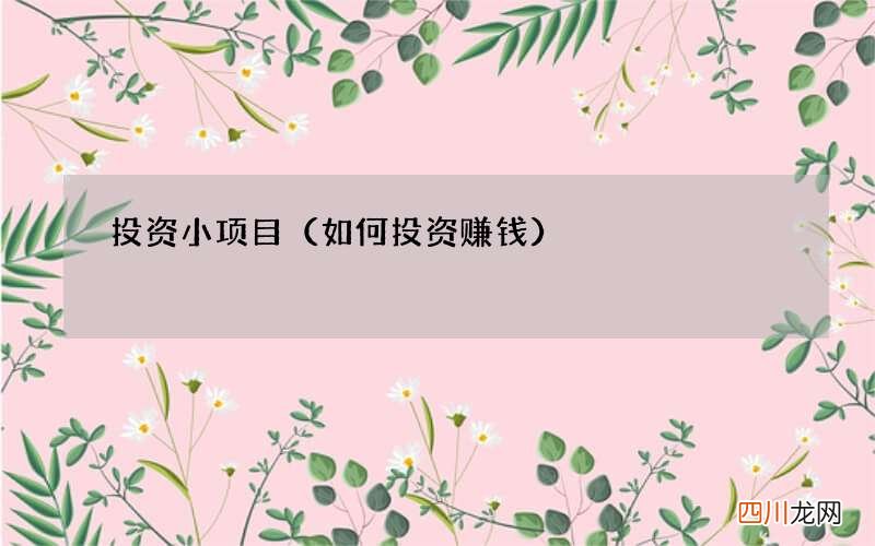 如何投资赚钱 投资小项目
