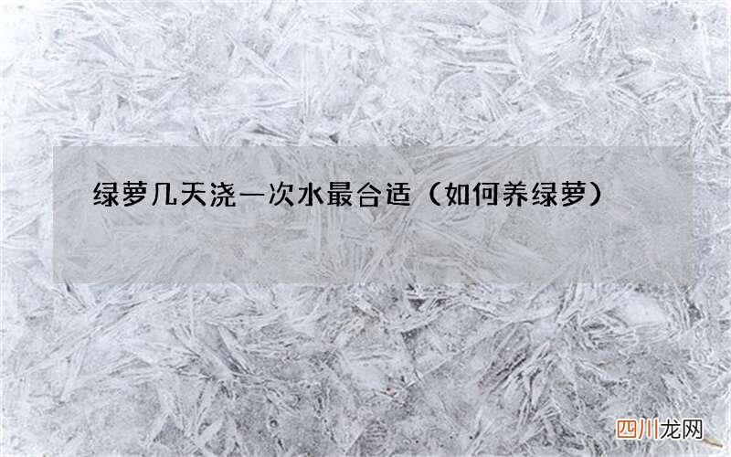 如何养绿萝 绿萝几天浇一次水最合适