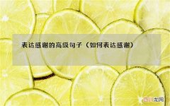 如何表达感谢 表达感谢的高级句子