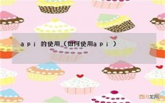 如何使用api api的使用