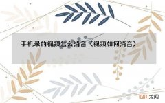 视频如何消音 手机录的视频怎么消音