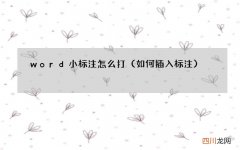 如何插入标注 word小标注怎么打