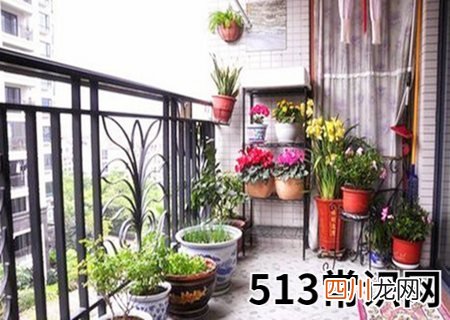 阳台种什么花最旺风水