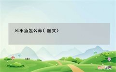 图文 风水鱼怎么养