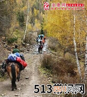 图文 梦见路难走