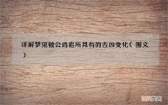 图文 详解梦见被公鸡追所具有的吉凶变化