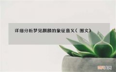 图文 详细分析梦见麒麟的象征意义