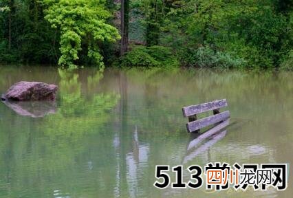 图文 梦见自己被淹死