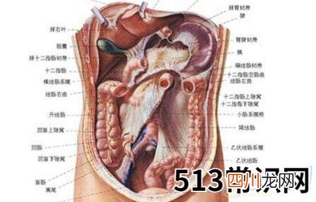 图文 梦见割内脏