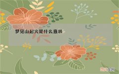 梦见山起火是什么意思