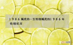 1986属虎的一生婚姻 属虎的1986年婚姻状况
