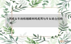 男虎女牛的婚姻顺利吗 虎男与牛女适合结婚吗