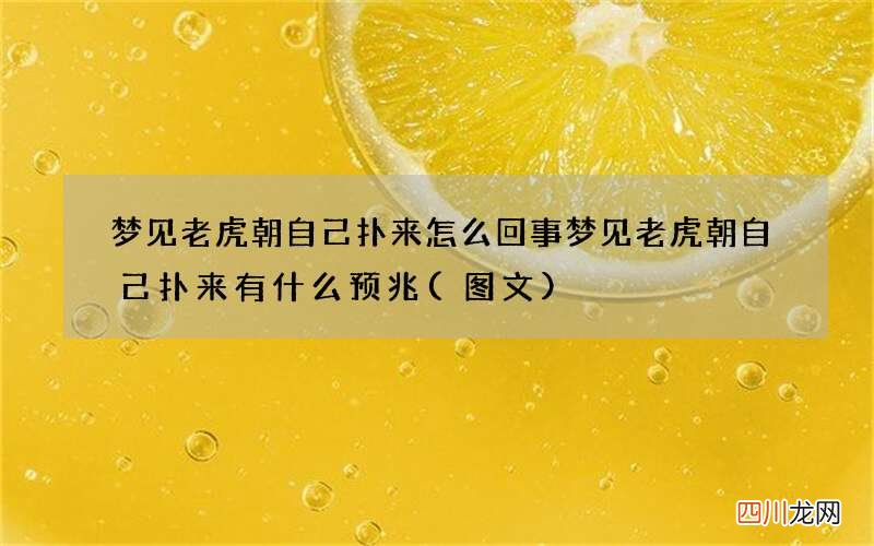 图文 梦见老虎朝自己扑来怎么回事 梦见老虎朝自己扑来有什么预兆