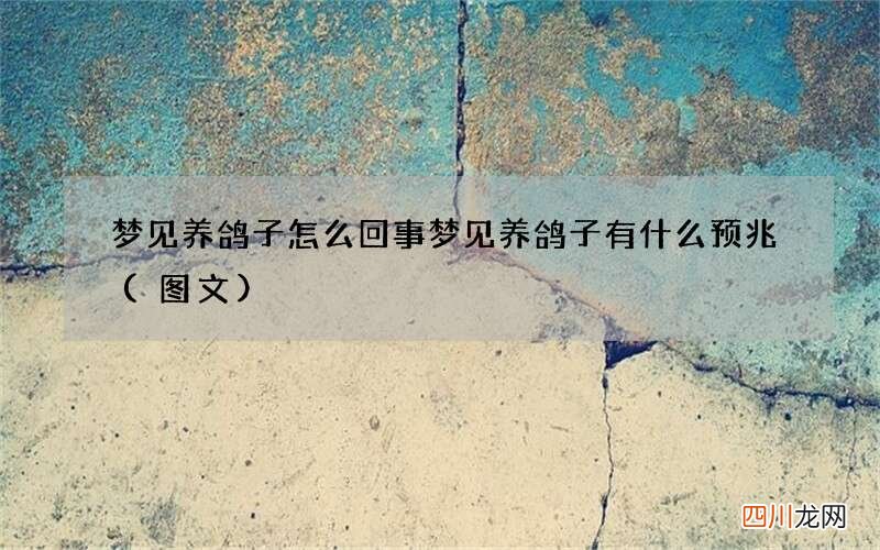 图文 梦见养鸽子怎么回事 梦见养鸽子有什么预兆