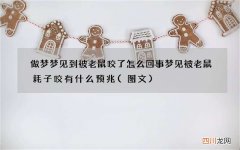 图文 做梦梦见到被老鼠咬了怎么回事 梦见被老鼠耗子咬有什么预兆