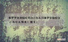 图文 做梦梦见到猫咬我自己怎么回事 梦见猫咬自己有什么预兆